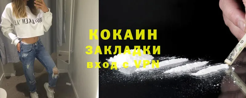 Cocaine FishScale  гидра зеркало  Алексеевка 